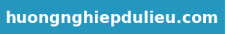 huongnghiepdulieu.com
